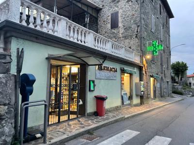 Giannini - Piazza al Serchio